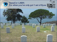 Blinded By The Light LASIK